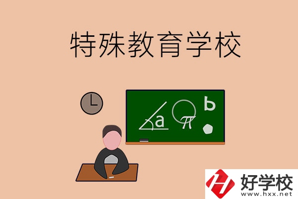 湖南省有哪些特殊教育學(xué)校？
