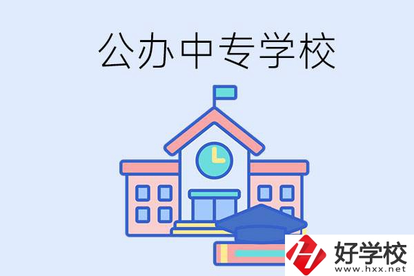 湘西一共有多少所公辦的中專學(xué)校？