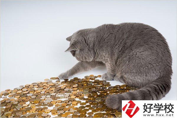 邵陽(yáng)的職高一年學(xué)費(fèi)是多少？比較便宜的學(xué)校有哪些？