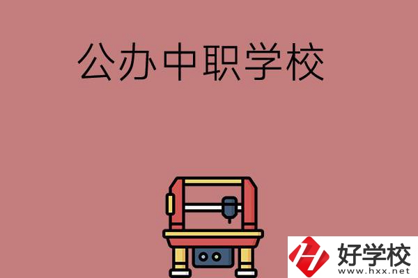 長沙可以學(xué)計(jì)算機(jī)應(yīng)用專業(yè)的公辦中職學(xué)校有哪些？