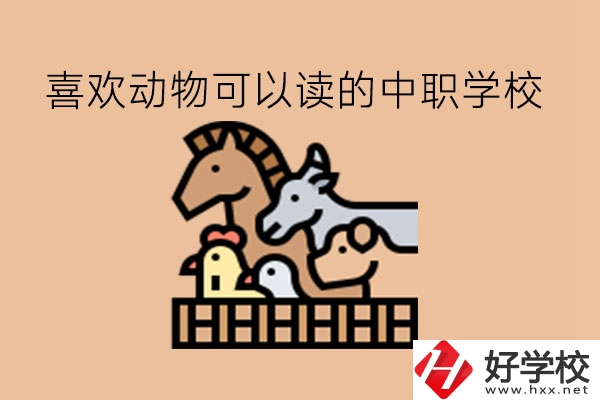 喜歡動物的學(xué)生，可以讀這些中職學(xué)校!