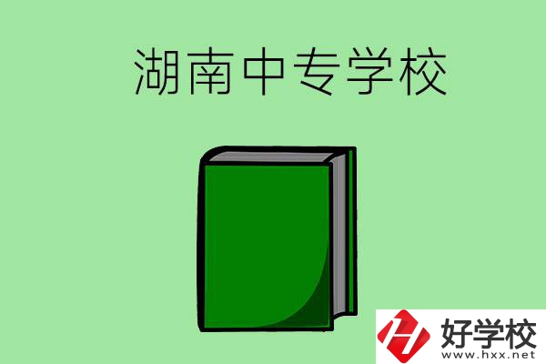 湖南的中專學校有哪些？都開設了哪些專業(yè)？