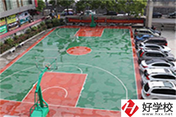 龍山縣技工學(xué)?；@球場