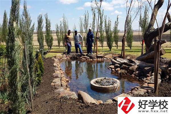 在湖南中職學(xué)哪些專業(yè)更容易考本科？