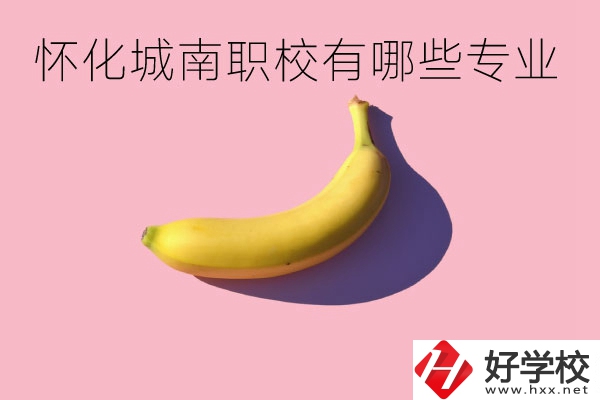 懷化城南職業(yè)學(xué)校有哪些專業(yè)？學(xué)校好不好？