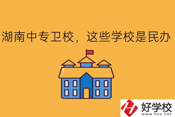 湖南中專衛(wèi)校，這些學(xué)校是民辦!