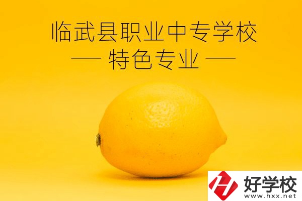 臨武縣職業(yè)中專學(xué)校好嗎？有哪些特色專業(yè)？