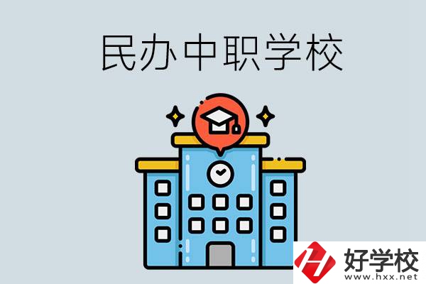 婁底新化縣的民辦中職學(xué)校一共有多少所？