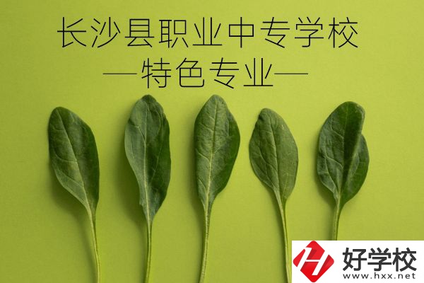 長沙縣職業(yè)中專學校怎么樣？有什么特色專業(yè)？