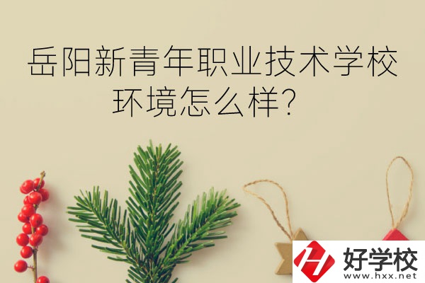 岳陽(yáng)新青年職業(yè)技術(shù)學(xué)校好不好？環(huán)境怎么樣？