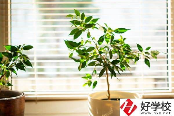 湖南省商業(yè)技師學(xué)院有哪些教學(xué)特色？報(bào)考有何要求？