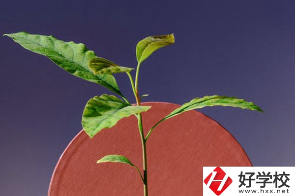株洲市工業(yè)中等專校怎么樣？好不好？