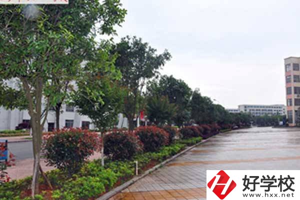 長沙市電子工業(yè)學校開設了哪些專業(yè)，附招生要求？