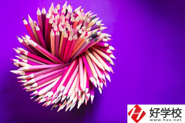 在懷化有什么職校可以學(xué)習(xí)幼師？好不好？