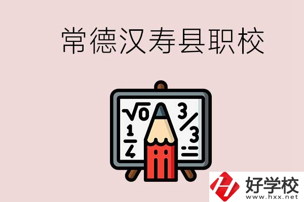 常德的漢壽縣有什么職校？是公辦的嗎？