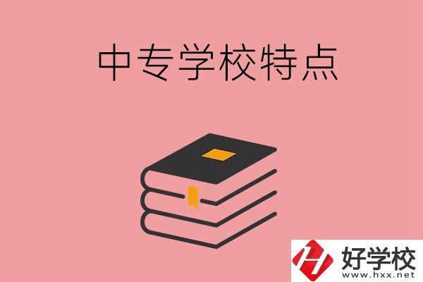 湖南省正規(guī)的中專學(xué)校，具備哪些特點？
