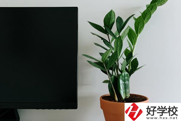 岳陽市網(wǎng)絡工程職業(yè)技術(shù)學校有哪些熱門專業(yè)？