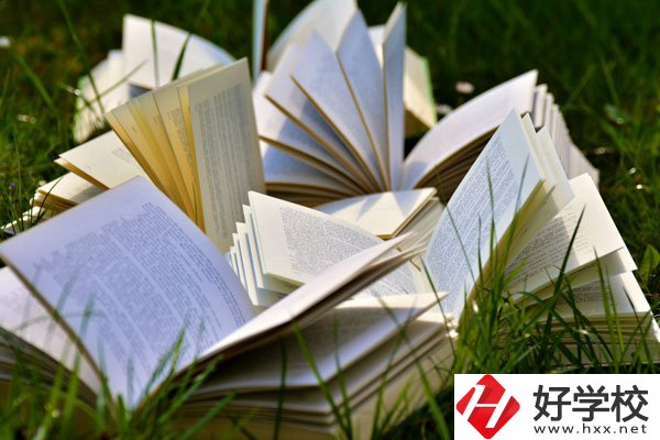 中方縣職業(yè)中等專業(yè)學(xué)校有什么專業(yè)？好不好？
