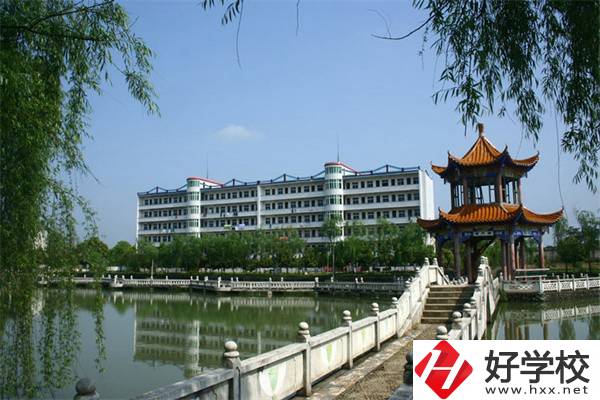 湖南想做程序員讀什么中職好？就業(yè)升學(xué)怎么樣？