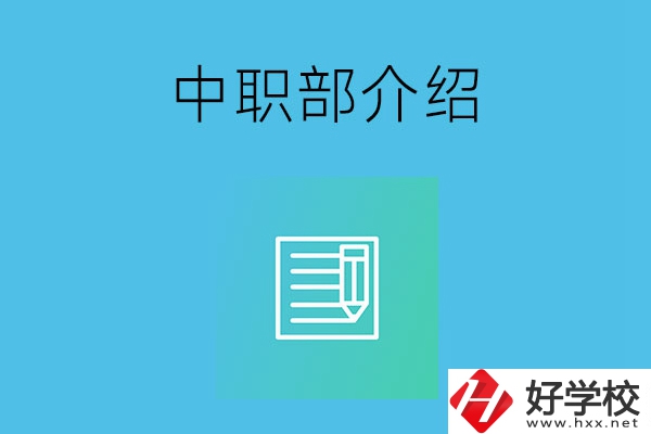 湘潭院校中職部介紹，這幾所學(xué)校你知道嗎？