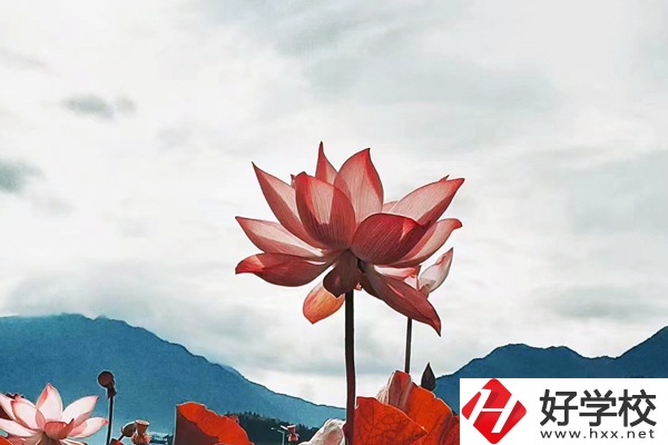 隆回華星職業(yè)技術(shù)學(xué)校有哪些專業(yè)？值得學(xué)生報考么？