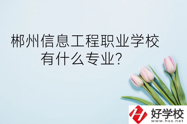 郴州信息工程職業(yè)學(xué)校有什么專(zhuān)業(yè)？