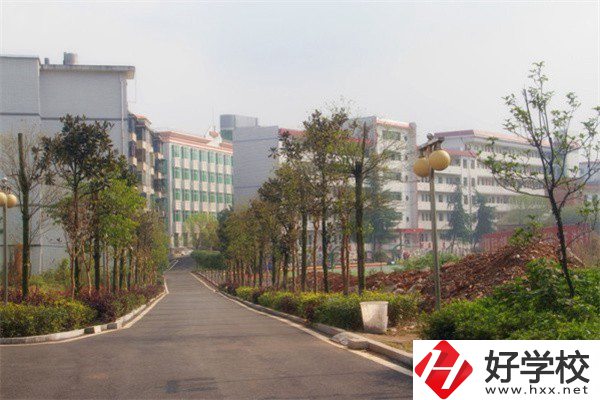 益陽(yáng)有哪些高級(jí)技校？學(xué)校有什么亮點(diǎn)？