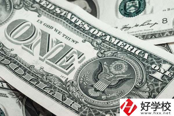 湖南的技校學(xué)費(fèi)貴嗎？有哪些補(bǔ)貼政策？