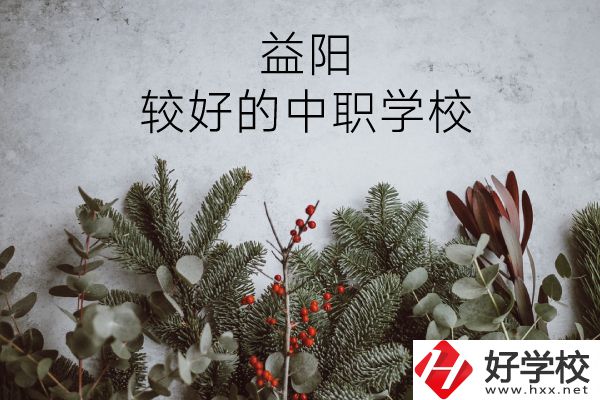 益陽有哪些中職學(xué)校比較好？