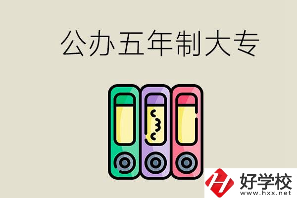 岳陽有什么公辦的五年制大專學(xué)校？讀了有用嗎？