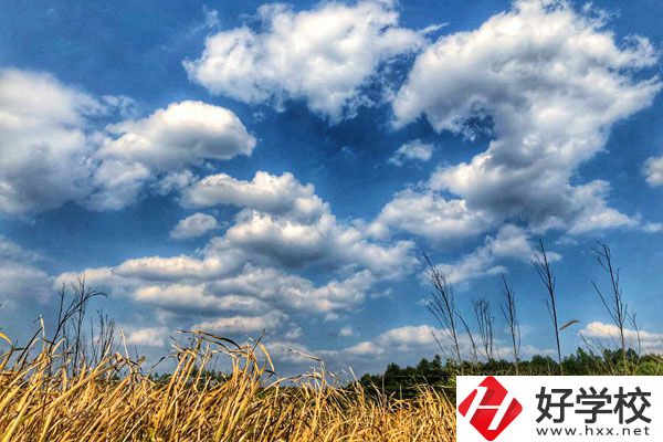 衡陽市瀟湘衛(wèi)生中等專業(yè)學校有哪些特色專業(yè)？