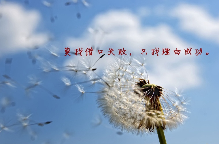 長春中考300分左右能讀什么學校