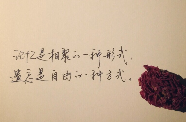 2024北京市第一七九中學(xué)開(kāi)設(shè)的專業(yè)一覽表
