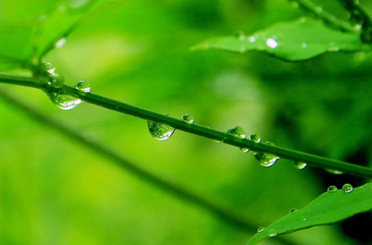 寧夏地質(zhì)工程學(xué)校是公辦還是民辦