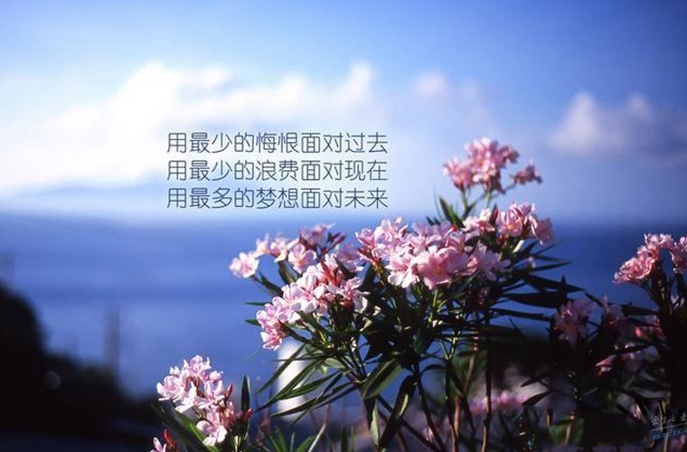 寧夏旅游學(xué)校是公辦還是民辦