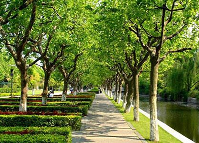2025青海職業(yè)學(xué)校有哪些 青海職業(yè)學(xué)校名單一覽表