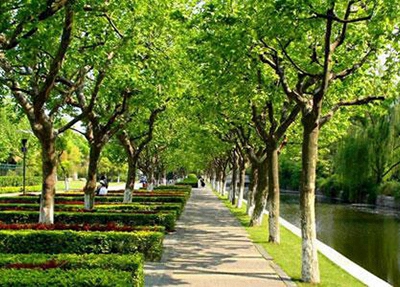 太原小店區(qū)第一職業(yè)中學校2024年報名一年多少學費