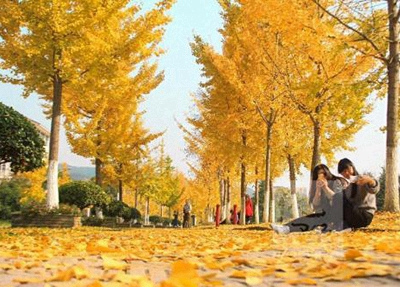自貢市特殊教育學(xué)校2024年學(xué)費(fèi)多少錢一年
