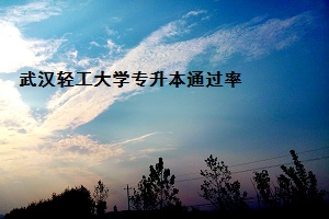 武漢輕工大學(xué)專升本通過率