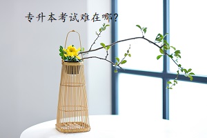 專升本考試難在哪？