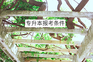 專升本報考條件