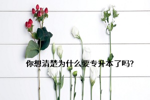 你想清楚為什么要專升本了嗎？