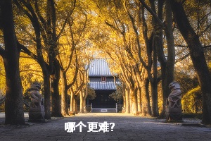 哪個(gè)更難？