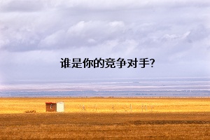 誰是你的競爭對手？