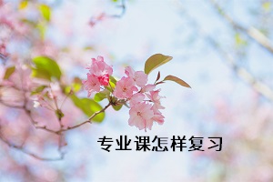 專業(yè)課怎樣復習