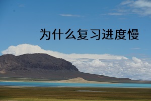 為什么復習進度慢