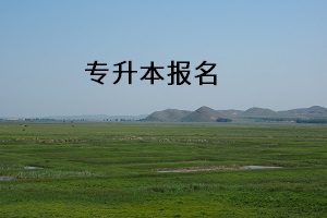 專(zhuān)升本報(bào)名