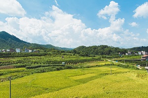 畢業(yè)證書(shū)的區(qū)別