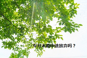 專升本能中途放棄嗎？