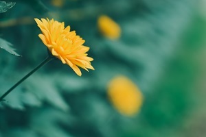 精做真題，查缺補漏